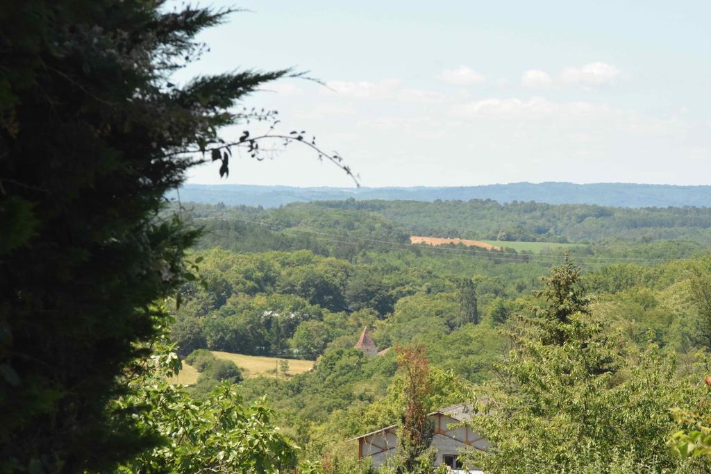 Camping Chez Francis Bed & Breakfast Loupiac  Eksteriør bilde
